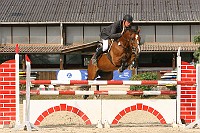 IMG_0010
