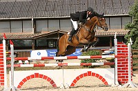 IMG_0016