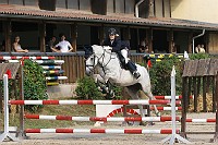 IMG_0008