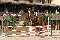 IMG_0012