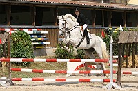 IMG_0037