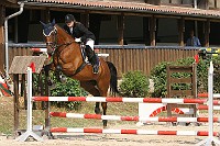 IMG_0041