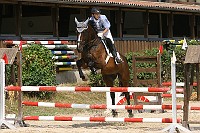 IMG_0010