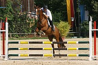 IMG_0016