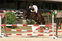 IMG_0031