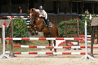 IMG_0047