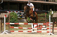 IMG_0049