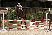 IMG_0061