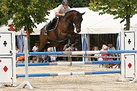 IMG_0017
