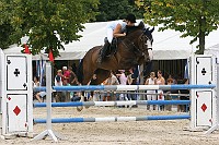 IMG_0006