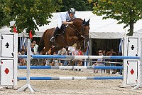 IMG_0008