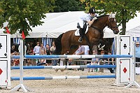 IMG_0012