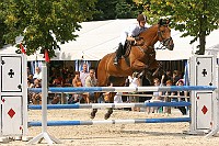 IMG_0013