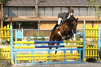 IMG_0009