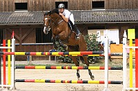 IMG_0011