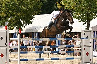 IMG_0019
