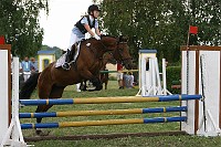 IMG_0006