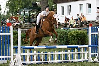 IMG_0008