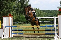 IMG_0008