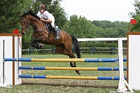 IMG_0017