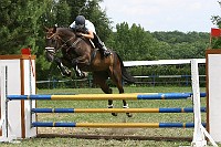 IMG_0021