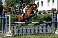 IMG_0006