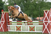 IMG_0046