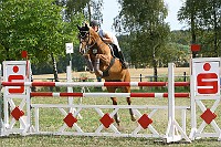 IMG_0015