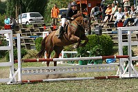 IMG_0046
