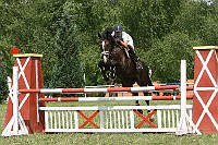 IMG_0010