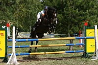 IMG_0012