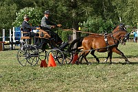 IMG_0003