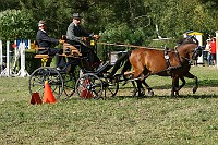 IMG_0004