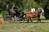 IMG_0005