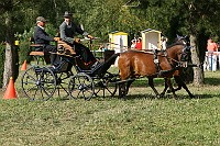 IMG_0006