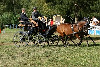 IMG_0007