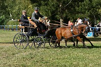 IMG_0008