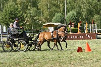 IMG_0009
