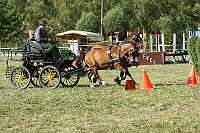 IMG_0010