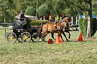 IMG_0011