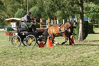 IMG_0012