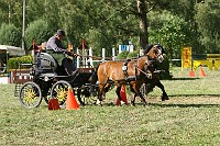 IMG_0013