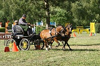 IMG_0014
