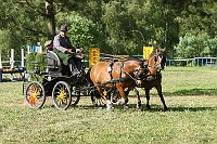 IMG_0016