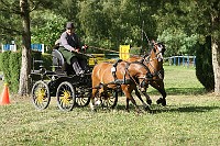 IMG_0017