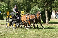 IMG_0018