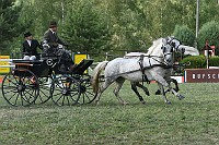 IMG_0019