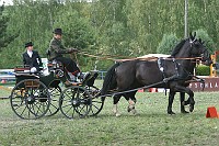 IMG_0031
