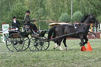 IMG_0032