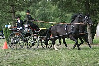 IMG_0040